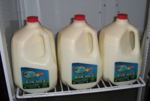 Raw-Milk-Shank-Dairy
