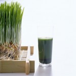 Detoxifying Wheat Grass Juice
