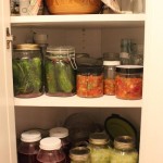 Fermenting-Projects