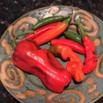 Hot-Peppers