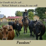 The Farmer who Sacrificed it All for Raw Milk Freedom