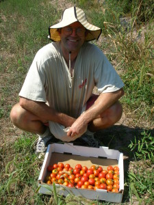 tomato-picker